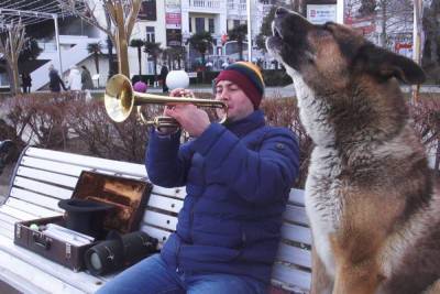 В Ялте неизвестные отравили поющих собак уличного музыканта