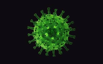Российский врач рассказала об инфицировании одновременно двумя штаммами коронавируса