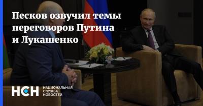 Песков озвучил темы переговоров Путина и Лукашенко