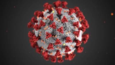 Медик рассказала о случае заражения двумя штаммами коронавируса в РФ