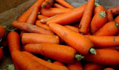 Вопрос дня: почему российская морковка за 21 год подорожала в 1000 раз?