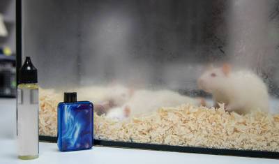 Белые крысы показали, как пары электронных сигарет разрушают легочную ткань