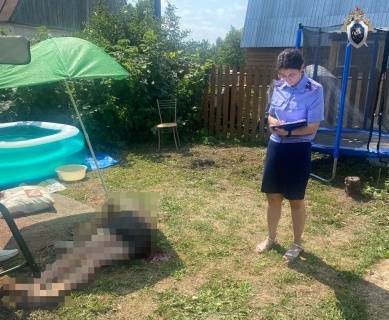 Уголовное дело возбуждено по факту убийства садовода в Дзержинске