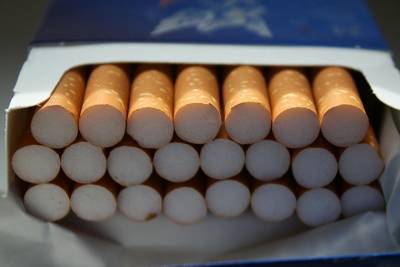 В Госдуме объяснили, почему некурящие останутся без дополнительного отпуска