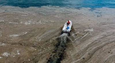 В Мраморном море обнаружено угрожающее экосистеме пятно опасной морской слизи