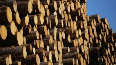 Лесному бизнесу Коми ограничат перевозку древесины по автодорогам