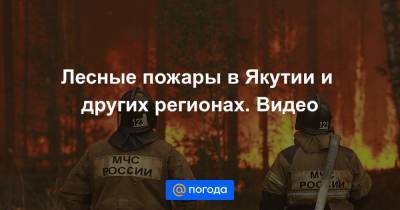 Лесные пожары в Якутии и других регионах. Видео