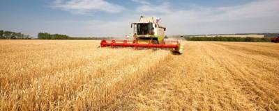 В Тамбовской области началась уборка зерновых