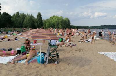 Бактерии нашли на пляжах Петрозаводска