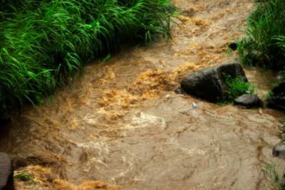 Вода в реках Карпат поднимется на метр: людей предупреждают об опасности