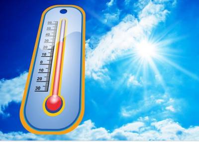 Жара до +34 градусов с грозой ожидается в Рязанской области 14 июля