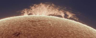 Российские ученые получили новые сведения об асимметрии магнитных полей Солнца
