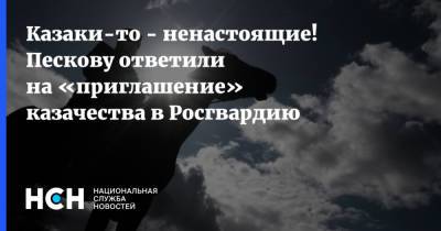 Дмитрий Песков - Казаки-то - ненастоящие! Пескову ответили на «приглашение» казачества в Росгвардию - nsn.fm - Россия