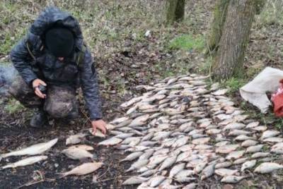 В Грязинском районе будут судить браконьера