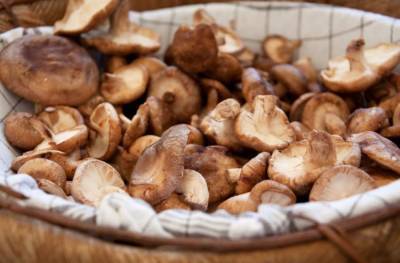 Экономисты предрекли рост стоимости орехов и грибов на рынке РФ