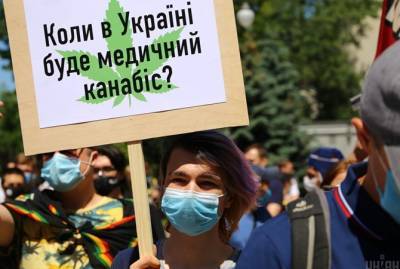 Коррупция против обезболивания: для потребностей больных, Украине хватит одного гектара конопли