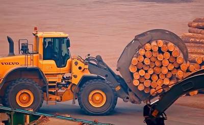 Почему цены на древесину в России бьют рекорды