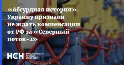 «Абсурдная история». Украину призвали не ждать компенсации от РФ за «Северный поток-2»