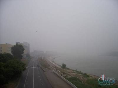​​Активисты из «Дыши, Омск» подсчитали, сколько раз на территории города за май и июнь происходило выбросов вредных веществ