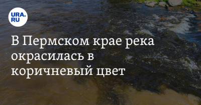 В Пермском крае река окрасилась в коричневый цвет. Фото