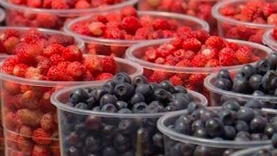 Гастроэнтеролог рассказал, как правильно хранить ягоды и фрукты