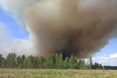 В Ярославской области начались лесные пожары