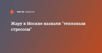 Жару в Москве назвали "тепловым стрессом"