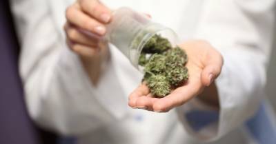Верховная Рада не поддержала легализацию медицинской марихуаны