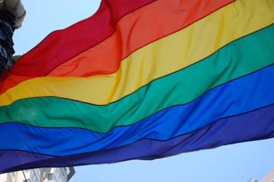«Могут отправиться по известному адресу»: Милонов об ЛГБТ-партнерствах