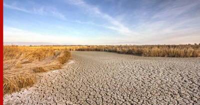 Сильная засуха охватила юг Казахстана