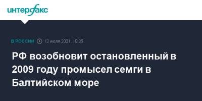 РФ возобновит остановленный в 2009 году промысел семги в Балтийском море