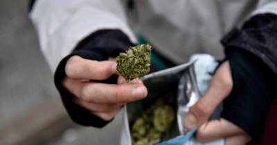 В Раде провалили голосование за легализацию медицинской марихуаны