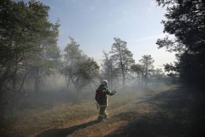 МЧС предупредило жителей Волгоградской области о высокой пожароопасности