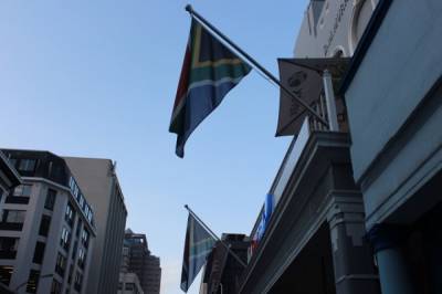 Политолог спрогнозировала, что ждет ЮАР после ареста экс-президента Зумы - aif.ru - Юар