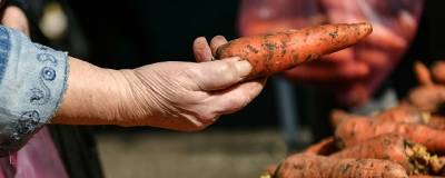 Жителям Самарской области рассказали, когда подешевеет морковь