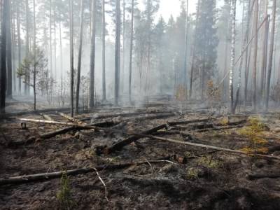 Фото: за Сарожскими озерами разгорается лесной пожар