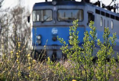 Пожилые петербуржцы влезли на товарный поезд и случайно уехали вместе с ним – видео