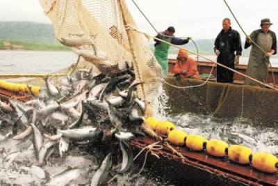 Вылов тихоокеанских лососей на Дальнем Востоке превысил 9 тысяч тонн