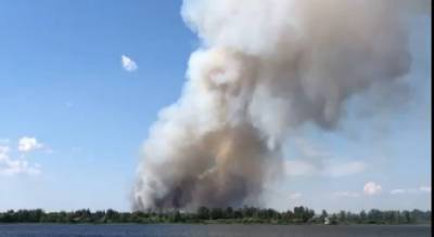 Столп дыма поднимался над лесами: подробности пожара под Ярославлем