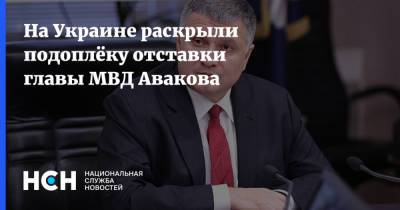 На Украине раскрыли подоплёку отставки главы МВД Авакова