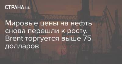 Мировые цены на нефть снова перешли к росту. Brent торгуется выше 75 долларов