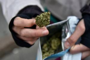 Рада провалила голосование по легализации медицинской марихуаны