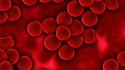 Ученые из США предсказали продолжительность жизни человека по анализу крови