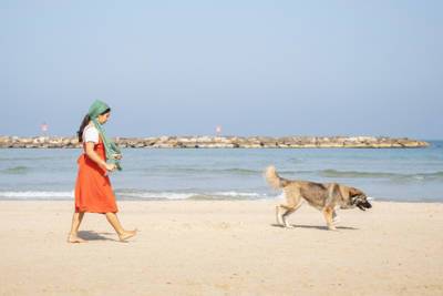 Всем собакам в Тель-Авиве придется сдать анализ ДНК: хозяева, готовьтесь к штрафам