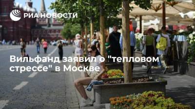 Вильфанд назвал аномальную жару в Москве "тепловым стрессом"