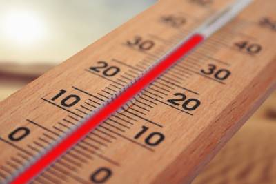 Новый температурный рекорд установлен в Псковской области