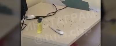 В тульской больнице после видео с муравьями провели проверку
