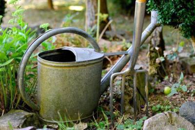 Стоит ли поливать огород теплой водой? Ответ экспертов