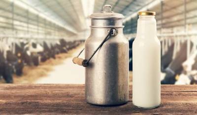 Грядет осеннее обострение молочных цен?