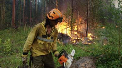 В России за сутки потушили 116 лесных пожаров